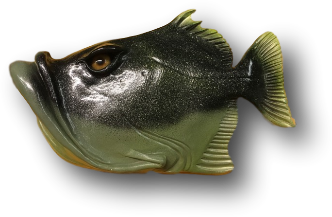 Shop - Bass (755x755), Png Download