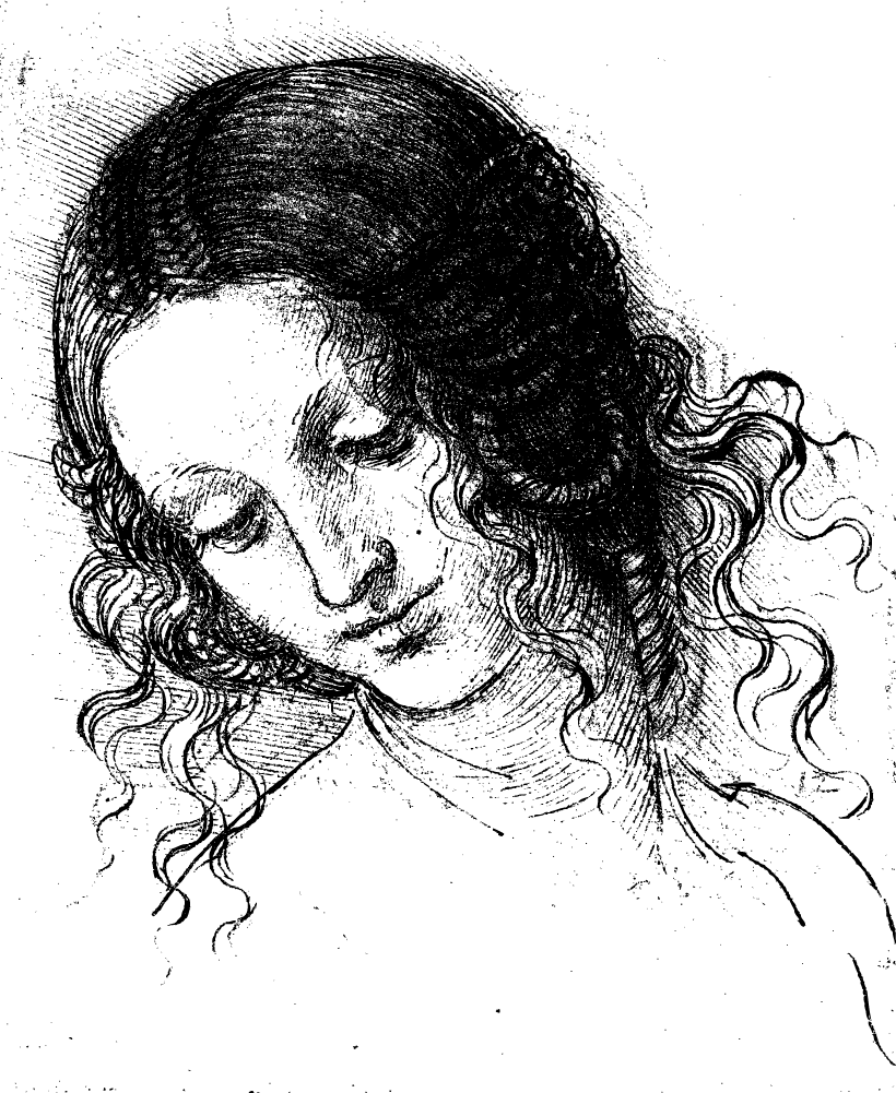 Head Of A Woman Lucan Portrait Leonardo - Leonardo Da Vinci Drawings (820x1001), Png Download