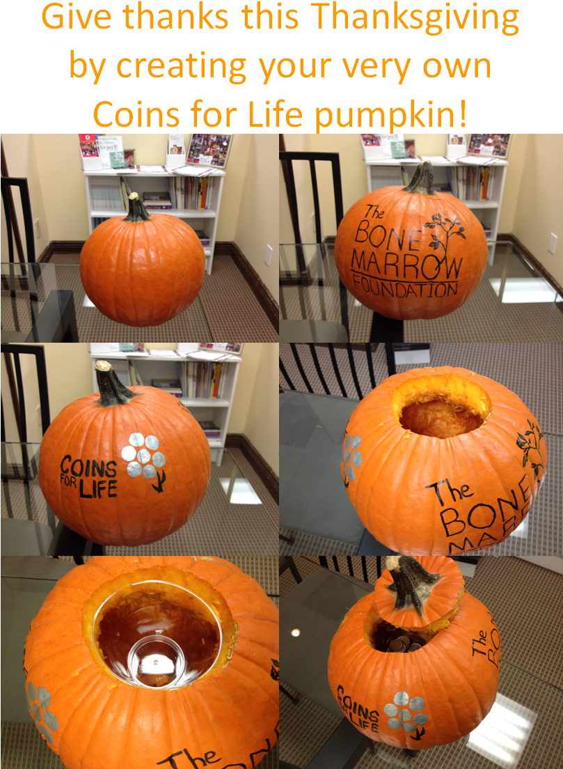 Coins For Life Pumpkin - Strategic Planning Model (810x1135), Png Download