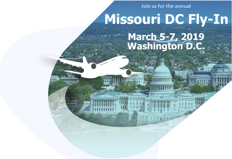 Join Business Owners And Chamber Members From Across - Washington Dc Town (755x584), Png Download
