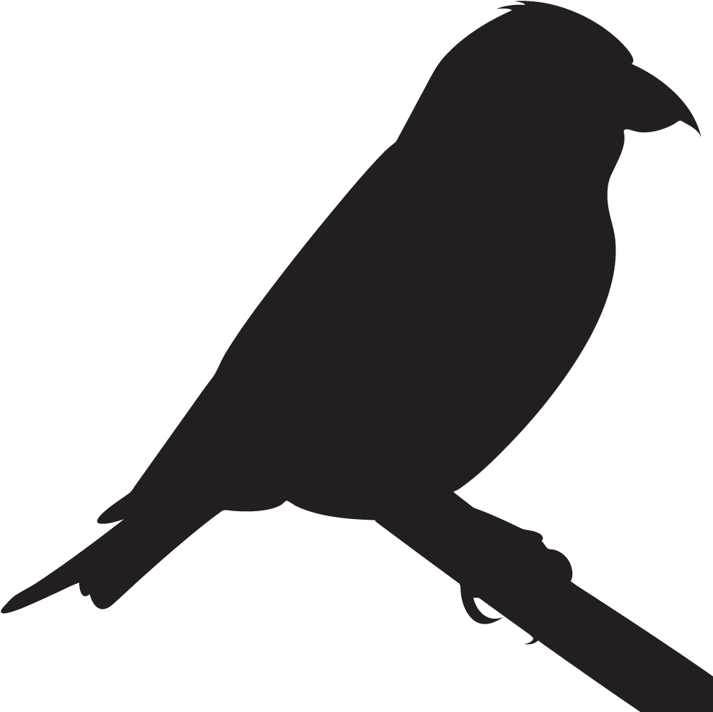 all about birds cornell