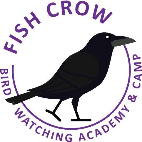 Fish Crow - American Crow (637x689), Png Download