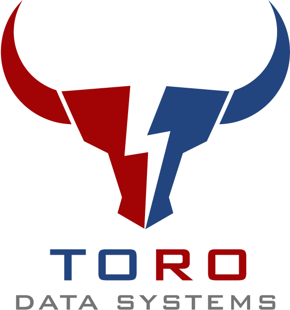 What Is Toro Data Systems - Graphic Design (1024x1024), Png Download