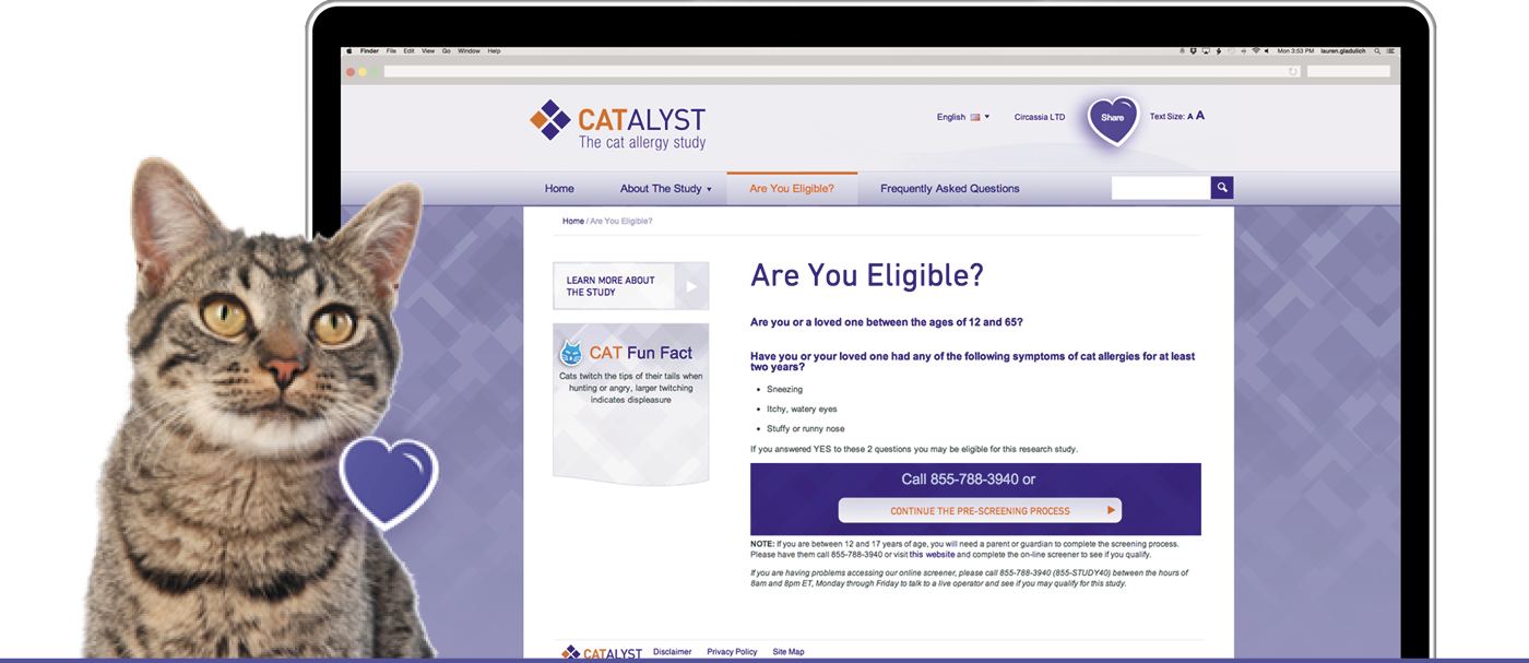 The Tactics Included Two Different Digital Campaigns - Domestic Short-haired Cat (1400x607), Png Download