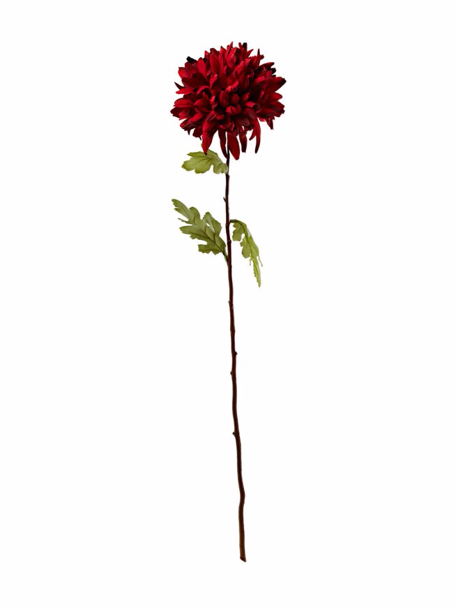 Red Chrysanthemum Artificial - Dahlia (1730x871), Png Download
