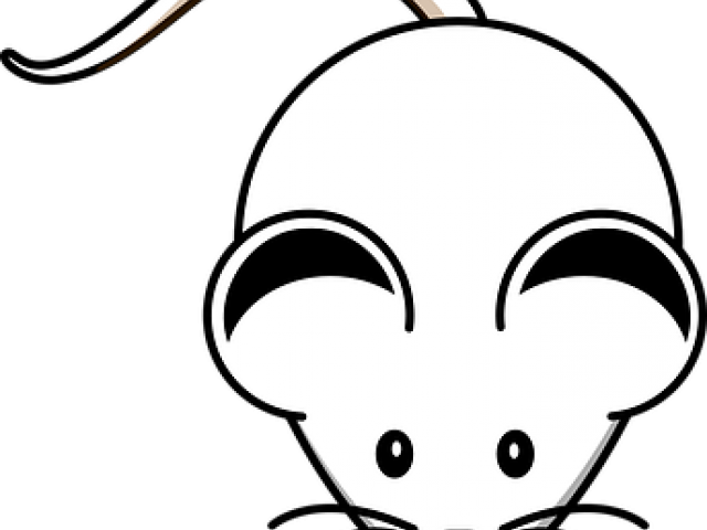 Whiskers Clipart Mouse Whisker - Cartoon White Mouse Png (640x480), Png Download
