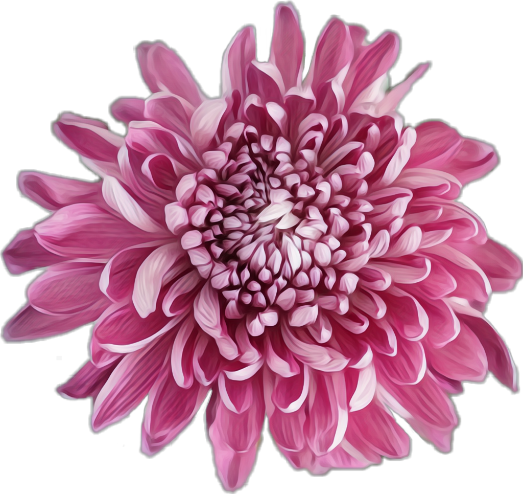 Dahlia (1024x966), Png Download