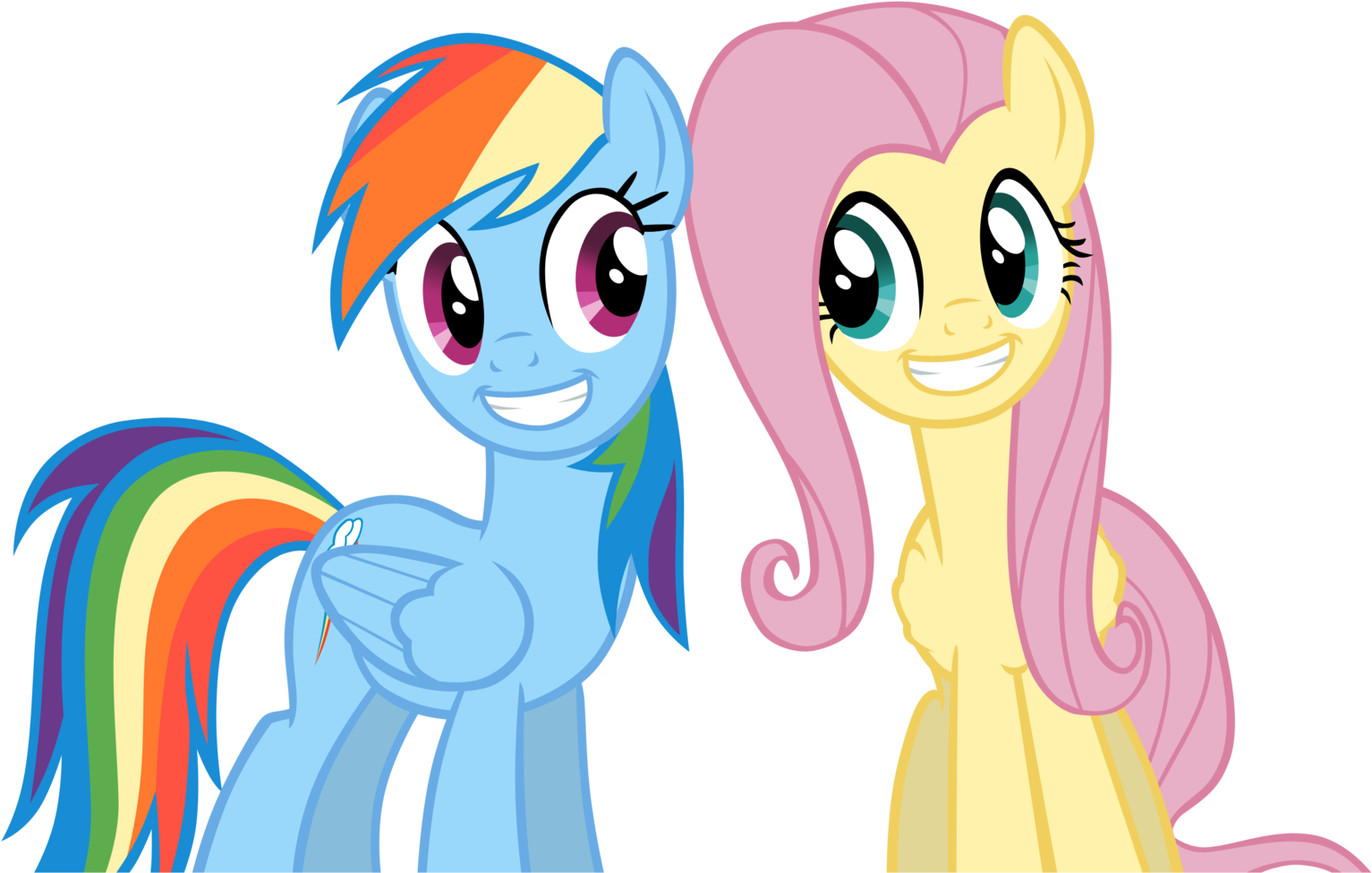 Can Someone Please Do Rainbow Dash And Fluttershy Hee - My Little Pony Fluttershy Rainbow Dash (1600x993), Png Download