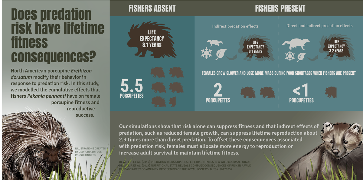 Early View Available Here - Online Advertising (1200x595), Png Download