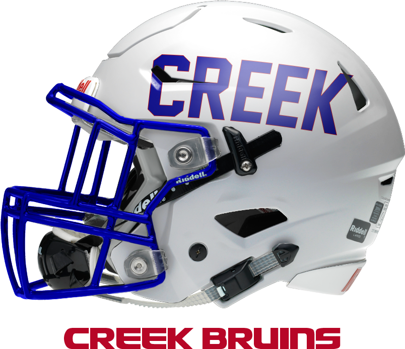 Click On One Of The Helmets Below To Find Out More - Charlotte 49ers Football Helmet (900x900), Png Download
