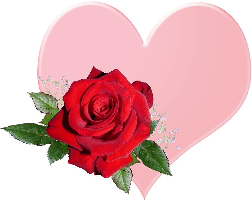 Valentine, Pink, Heart, Romantic - Valentine's Day (890x720), Png Download