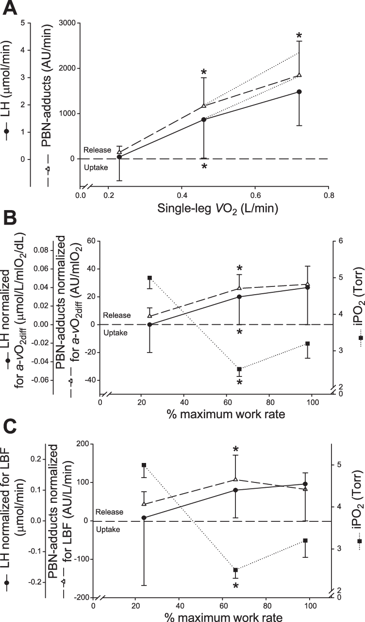 Image Freeuse A Effects Of Incremental Exercise On - Diagram (752x1279), Png Download