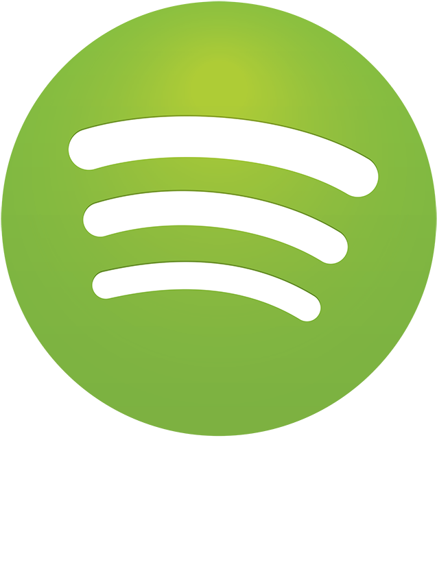 Spotify-white - Spotify Logo Png Cinza (700x885), Png Download
