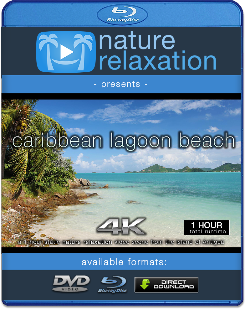 "coronado Beach Waves" Two 1 Hr Static Nature Relaxation - 4k Resolution (1000x1000), Png Download