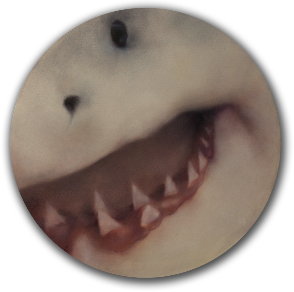 Malevolent Waters - Great White Shark (1000x936), Png Download