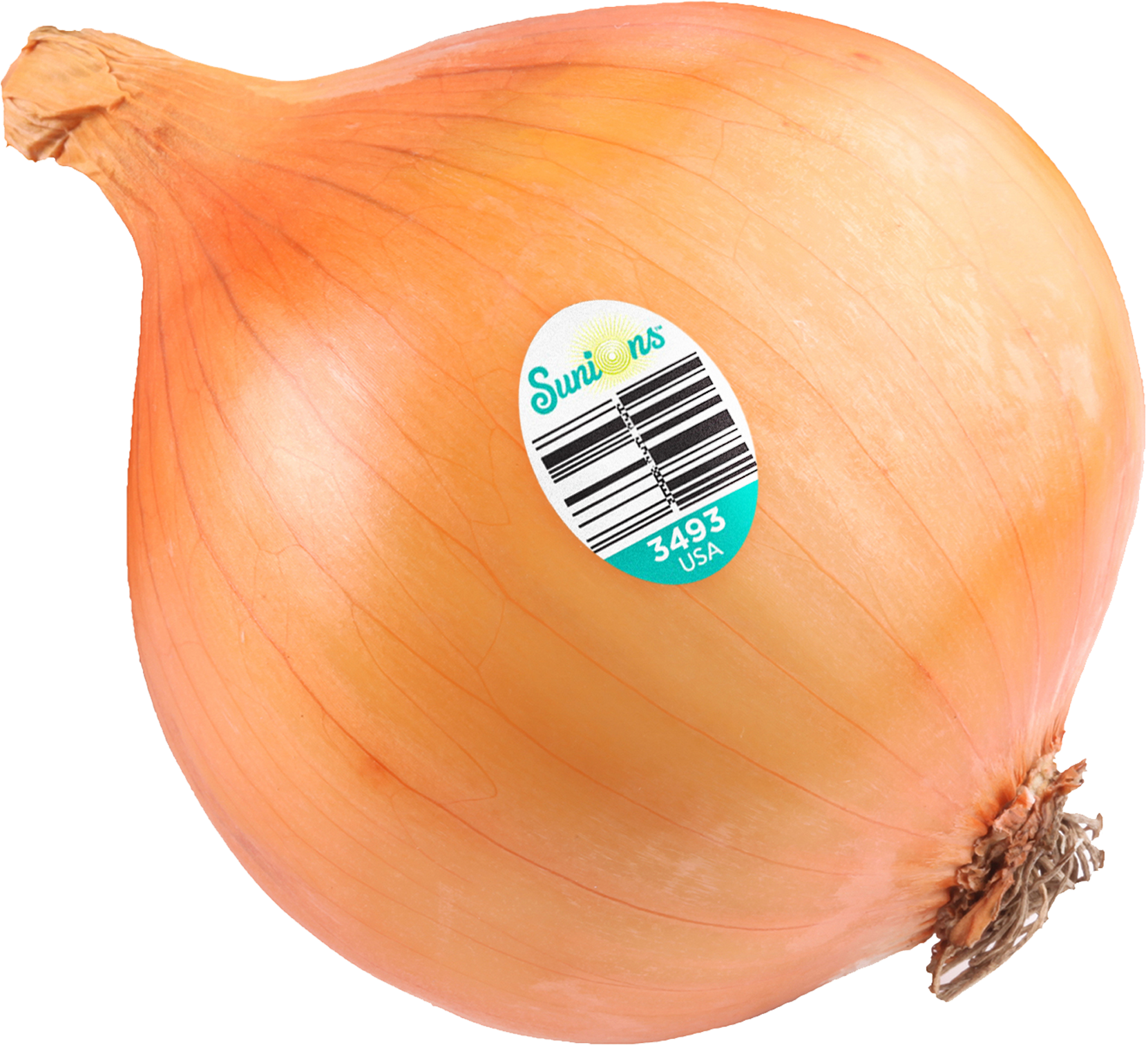 Sunions® - Yellow Onion (2100x1601), Png Download