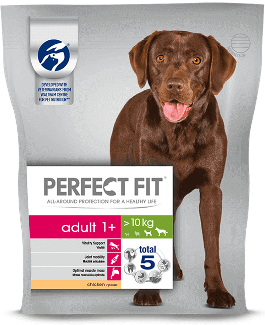 Adult-1 - Perfect Fit Dog Food (525x645), Png Download