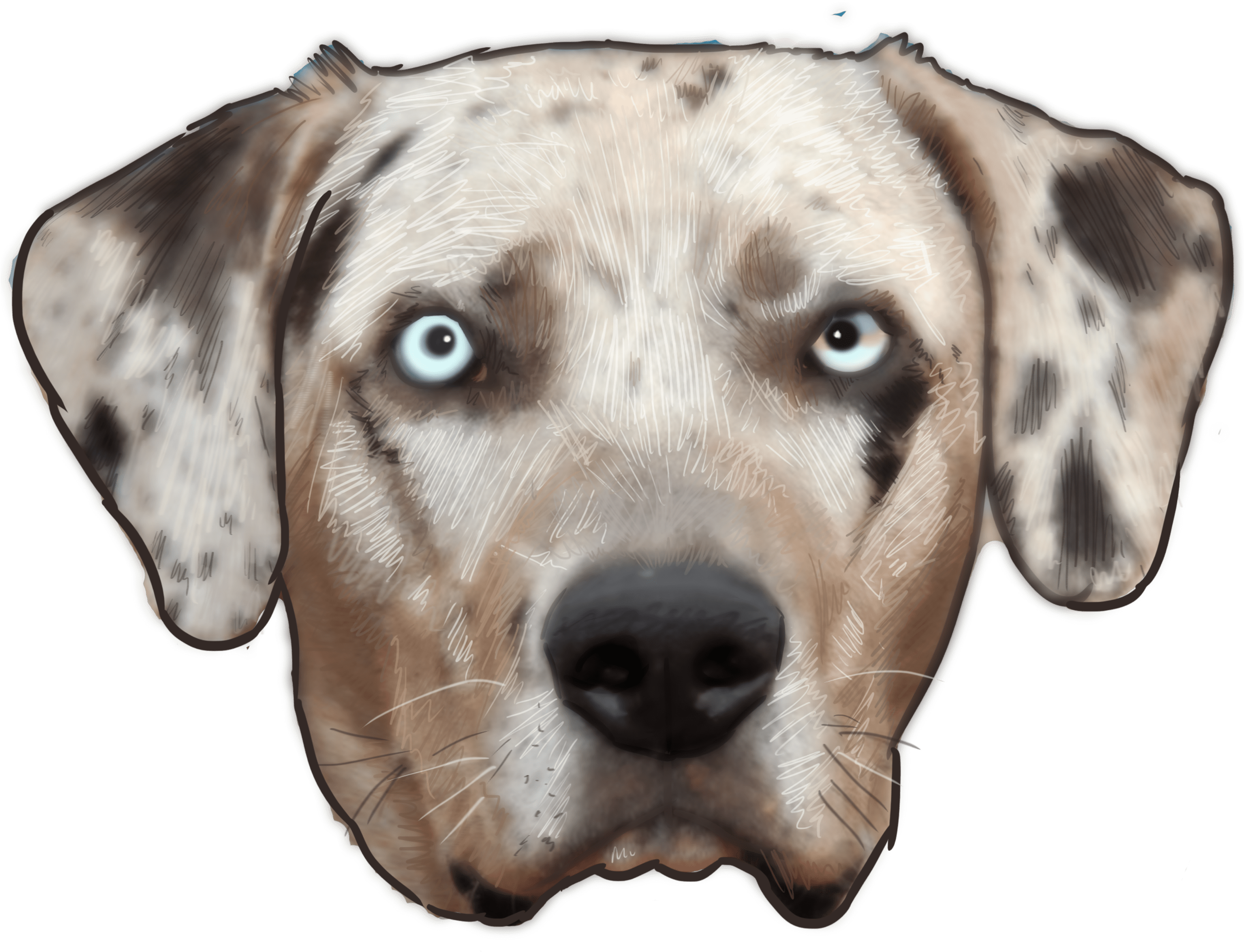 This Week On “why Are You A Dog” The Show Gets Real - Dalmatian (3000x3000), Png Download