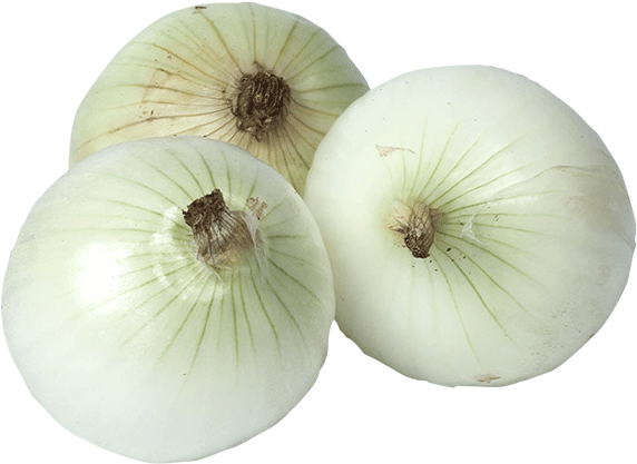 Elephant Garlic (700x700), Png Download