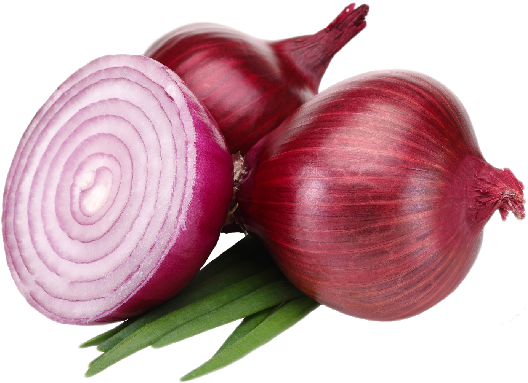 Onions Red - Red Onions (600x600), Png Download