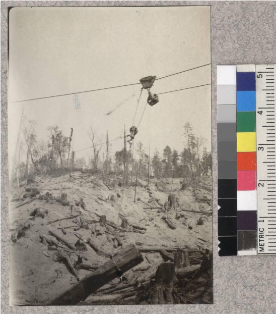 Masten Sky Line Roading- Caspar Lumber Company - Visual Arts (800x700), Png Download