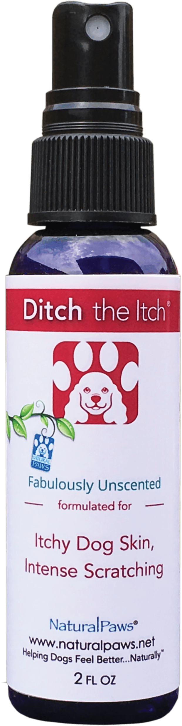 Customer Favorites - Dog (1920x2485), Png Download