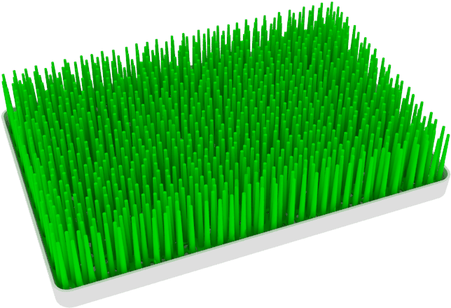 Grass (800x600), Png Download