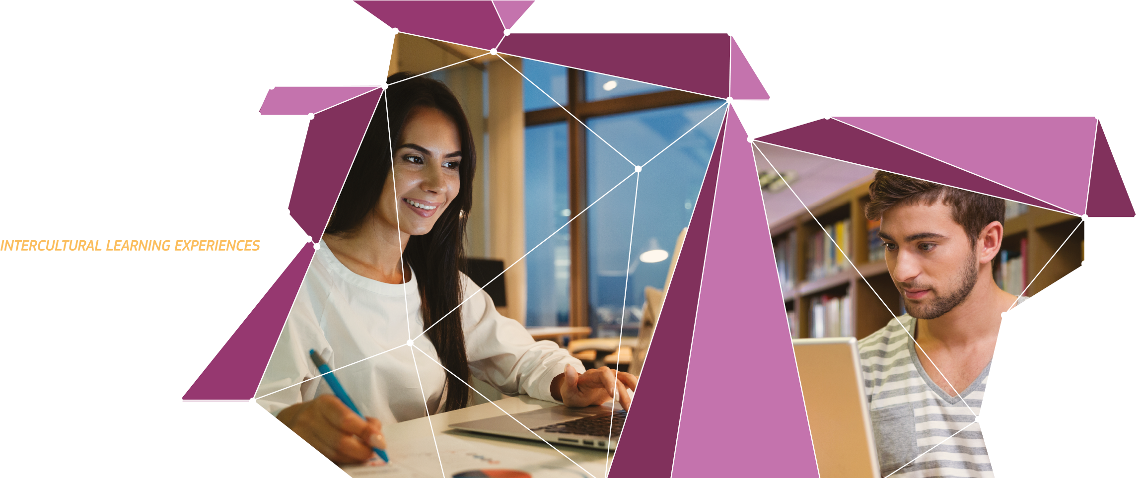 /file/eve Web Header2x 2png Eneve Web Header2x 2 - Erasmus Virtual Exchange (2370x962), Png Download