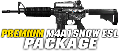 Premium M4a1 Snow Esl Pkg - Firearm (920x400), Png Download