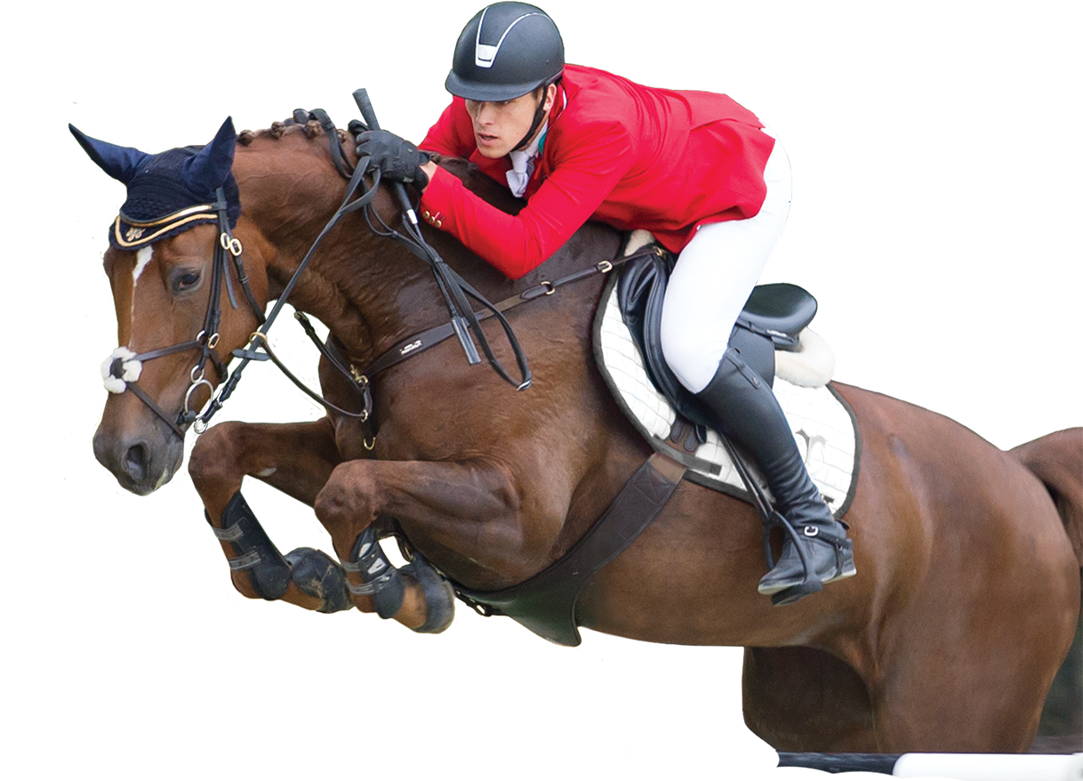 Live Show Jumping Hosted By Budapest, - Show Jumping (1920x907), Png Download