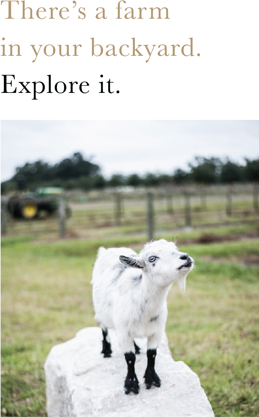 We're The Only Rice Farm In Florida That Mills Its (874x1426), Png Download