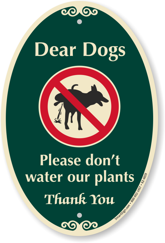 Dear Dogs, Please Don't Water Our Plants - Please Don T Water Our Plants (542x800), Png Download