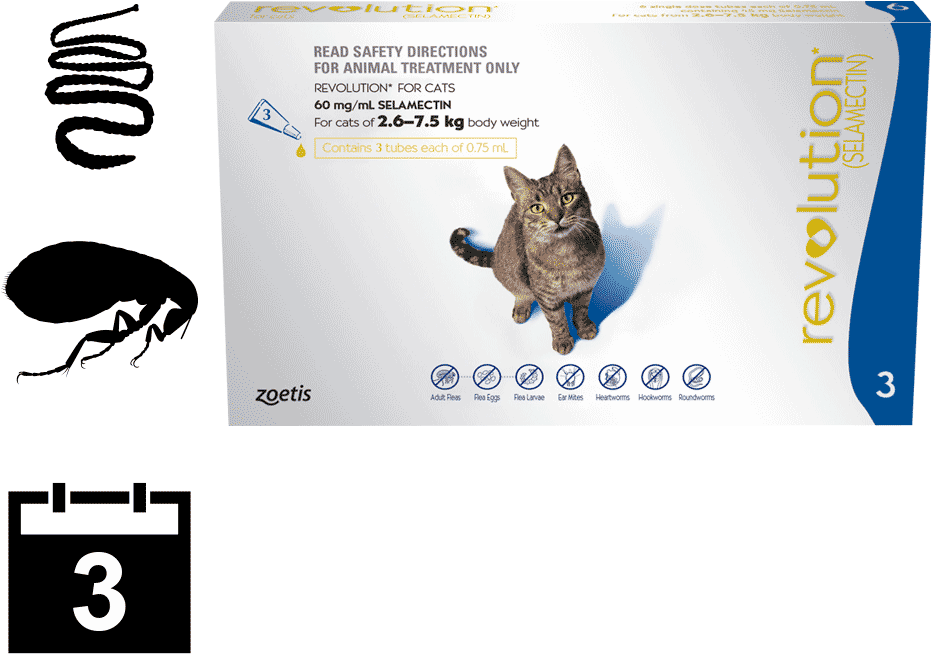 Buy Online Revolution For Cats -> Best Online Price - Revolution For Cats (1000x1000), Png Download