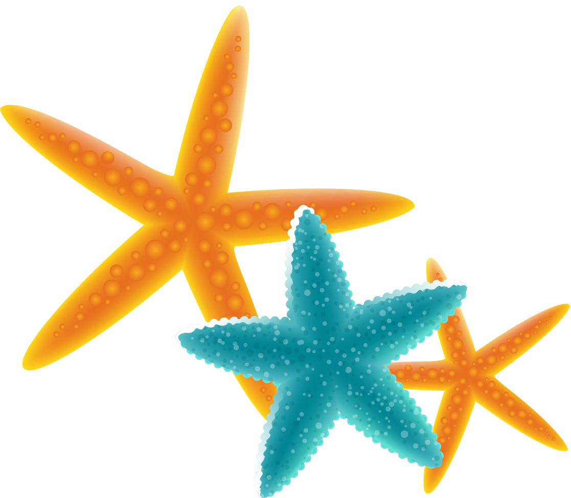 Starfish Free Content Clip Art - Starfish (1117x974), Png Download