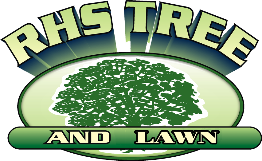 Cropped Rhs Tree Lawn Web - Illustration (853x524), Png Download