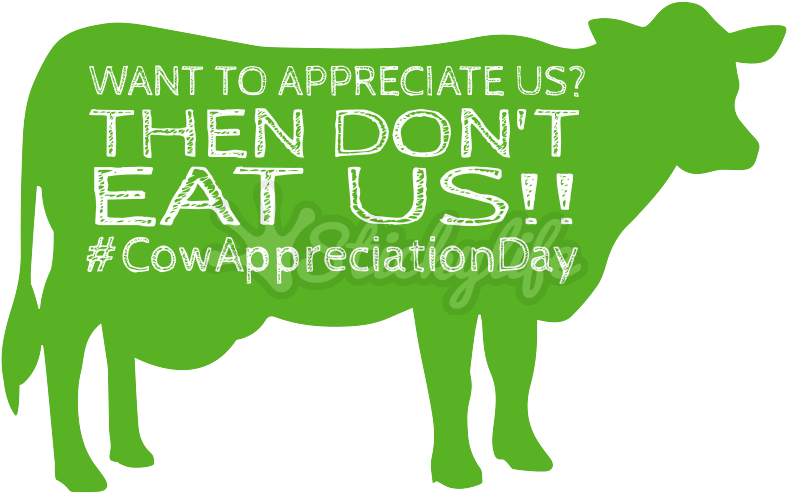 Dairy Cow (800x740), Png Download