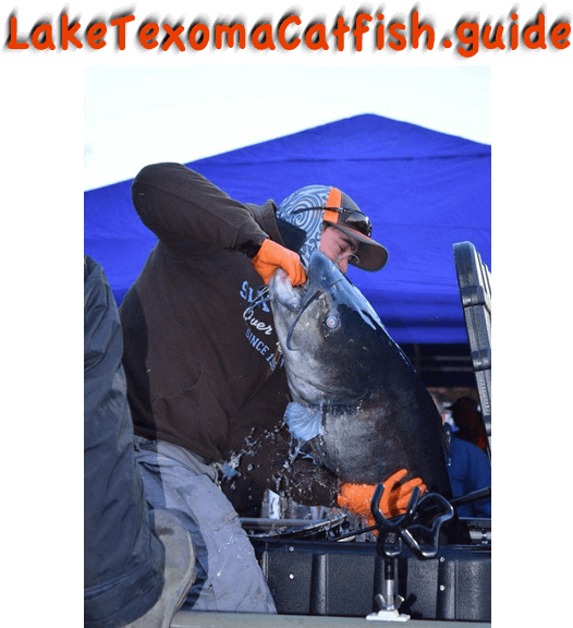 Catching Blue Catfish, Lake Texoma Catfish Guides - Jigging (575x575), Png Download