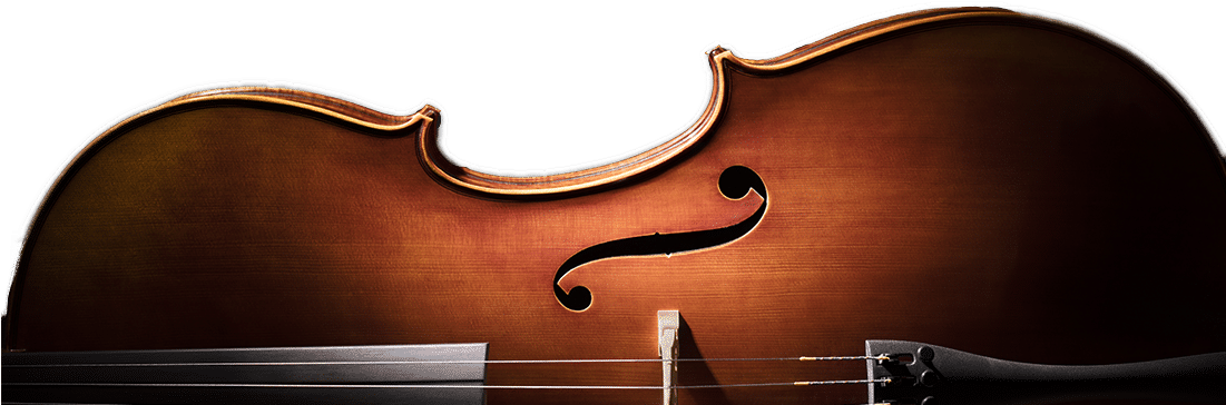Musical Instruments In Batavia Chicago Elgin Naperville - Double Bass (1100x380), Png Download