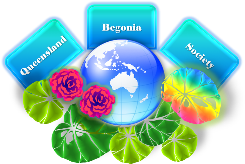 Queensland Begonia Society On Earth Day - Graphic Design (840x554), Png Download