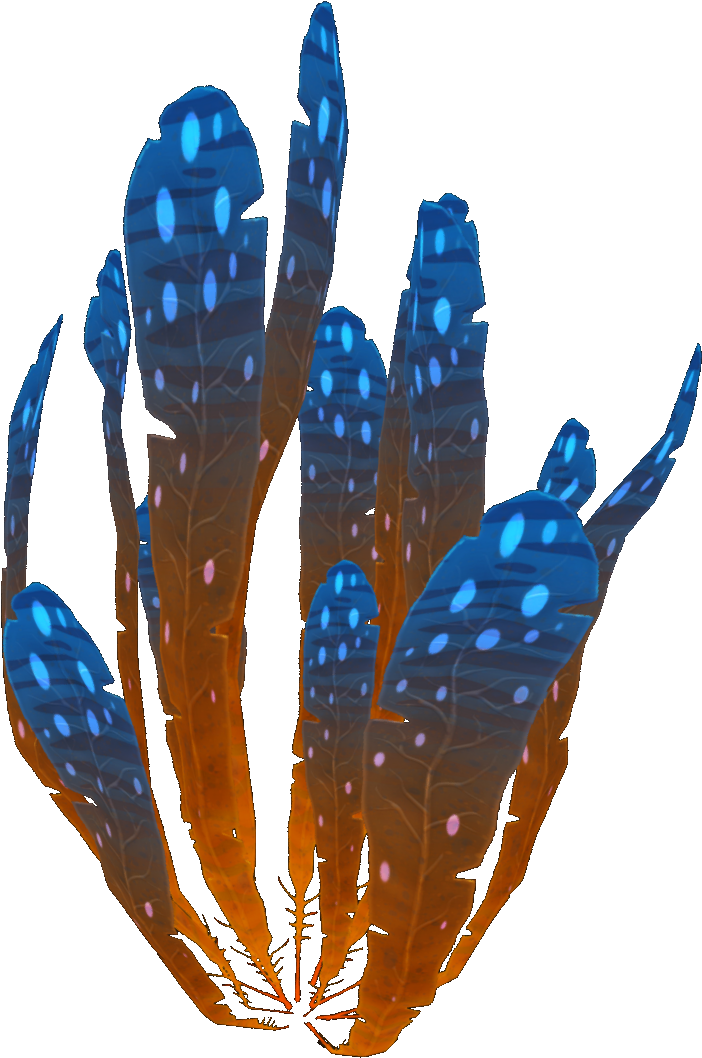 Spotted Dockleaf - Illustration (1920x1080), Png Download