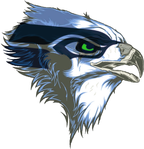 Remix Of A Hawk Design Added Seahawk Logo - Seahawk Tattoo Ideas (580x617), Png Download