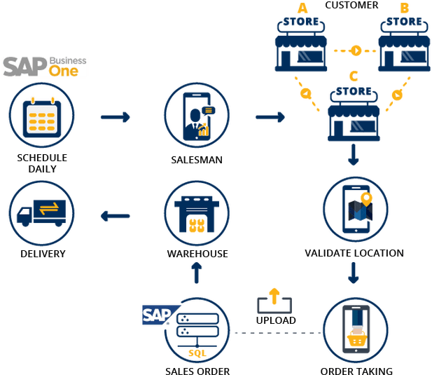 Mobile Sap Distribution Structure - Sap Business One (619x560), Png Download