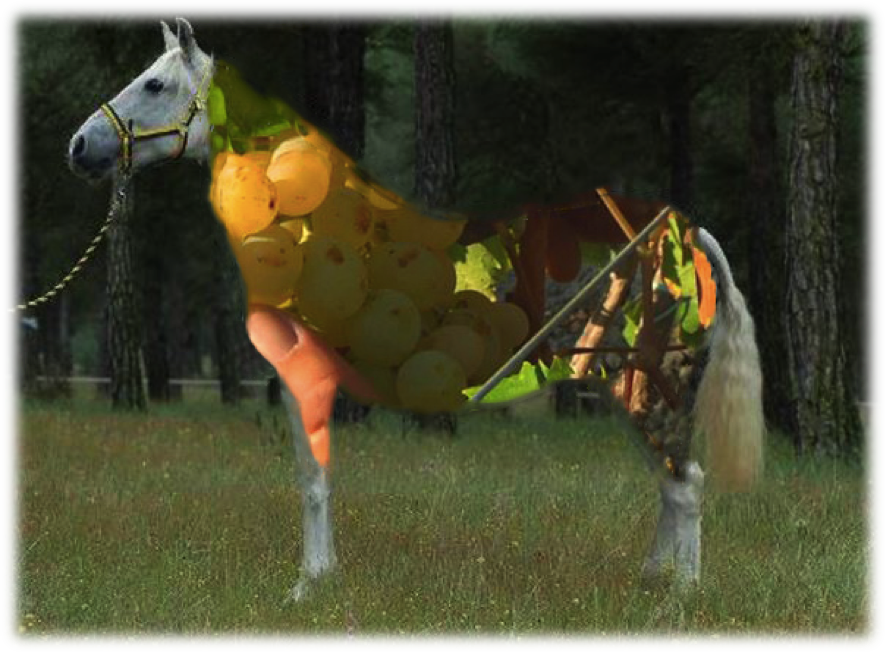 Vino Y Caballo Cartujano - Caballo Y El Vino (886x653), Png Download