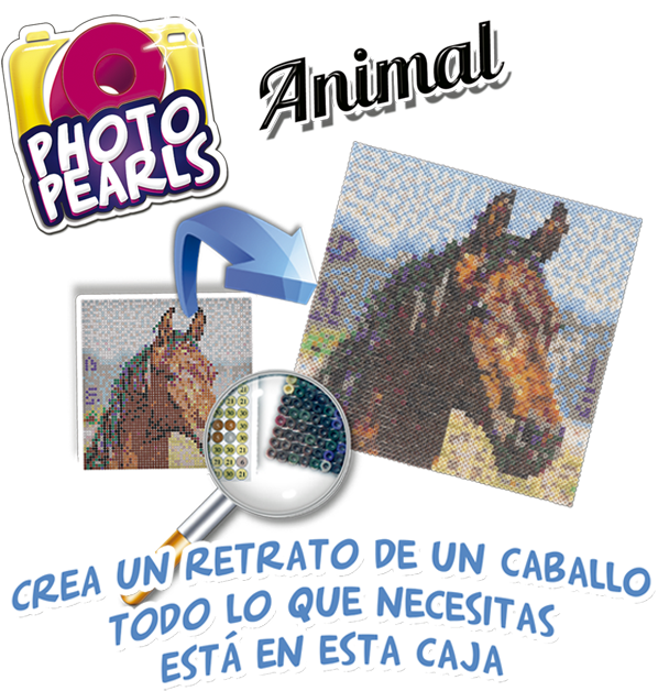 Photopearls Caballo - Poster (667x667), Png Download