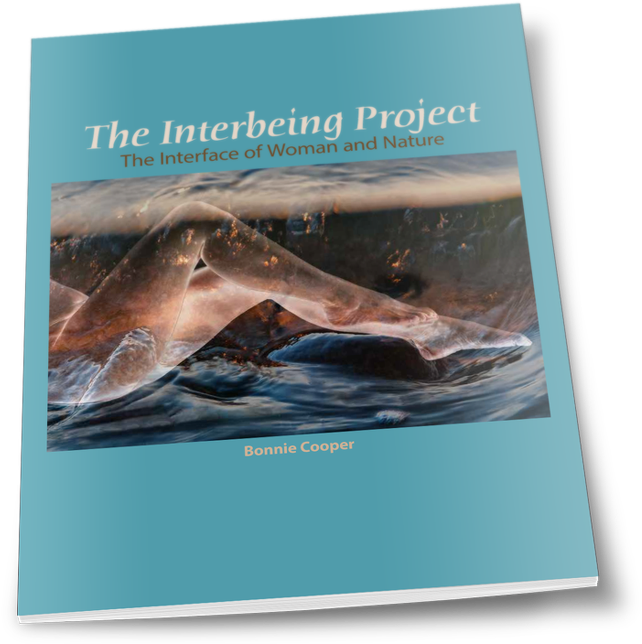 Whale (1292x1292), Png Download