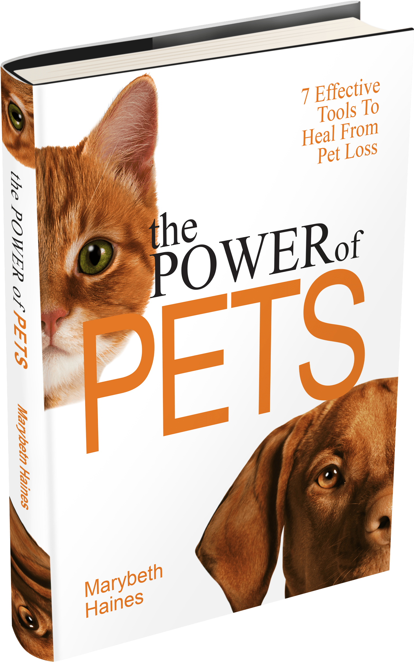 Marybeth Bookcover 3dsingle - Cat Grabs Treat (1649x2532), Png Download