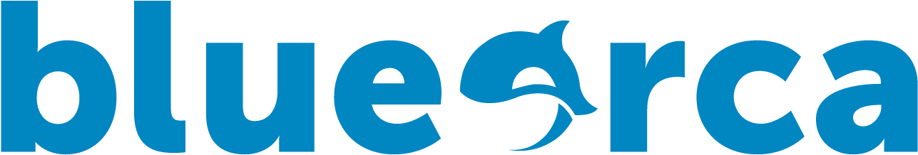 Blue Orca Logo (1512x432), Png Download