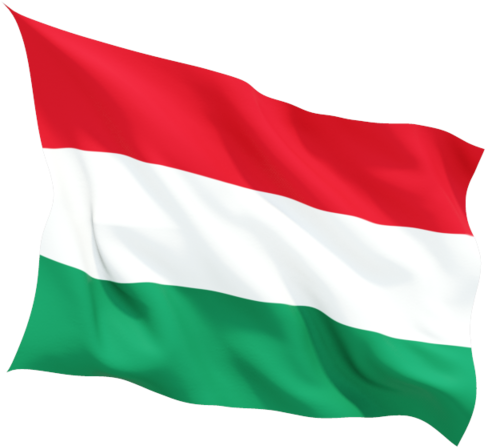 Download Flag Icon Of Hungary - Background India Flag Png (640x480), Png Download