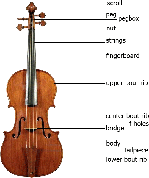 Viola Patrs - Parts Of Violin Png (626x626), Png Download