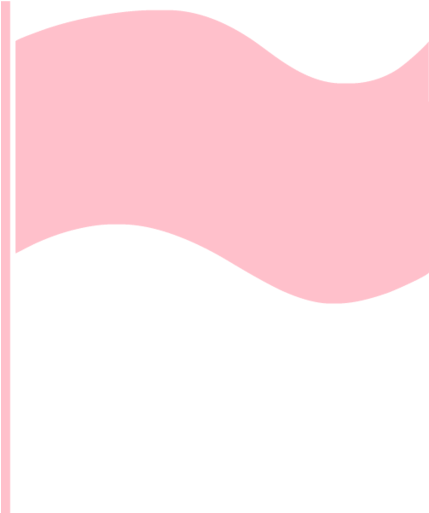 Black Flag Icon - Pink Flag Icon Transparent (750x750), Png Download